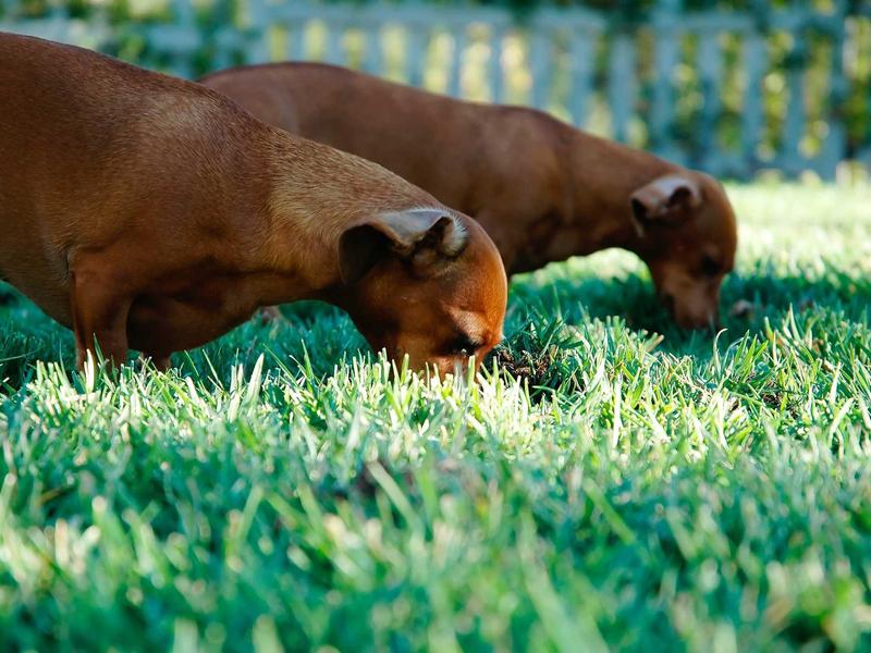 windows screenshot 1